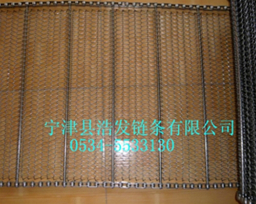 清洗机网带